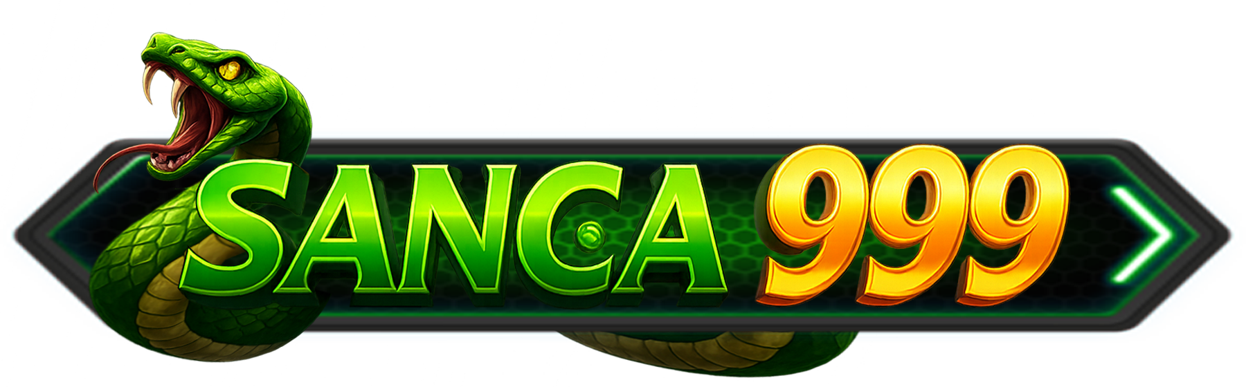 Logo Sanca999