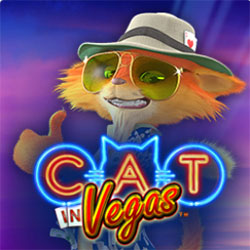 Cat in Vegas