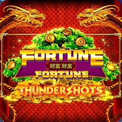 Fortune Fortune: Thundershots