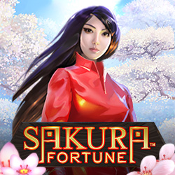 Sakura Fortune