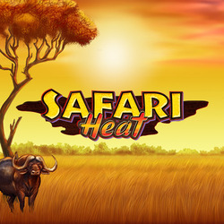 Safari Heat